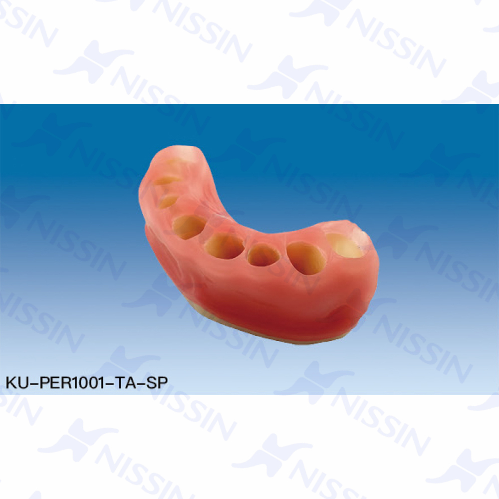 牙冠延長術(shù)模型用牙齦插件