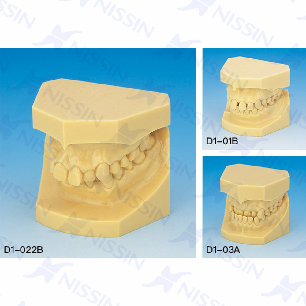 正畸錯(cuò)頜畸形分類(lèi)演示模型（10組1套）